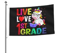 Bandiera Pirati Durevole Bandiere Da Balcone First Day Of School Live Love 1St Grade Resistente Alle Intemperie Striscioni Di Bunting Per Interno Celebrazione Esterno 90X150Cm