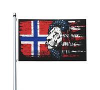 Bandiera Pirati Norway Norwegian Handsome America Lion Head Bandiera Da Giardino Decorazione Bandiera Dell'Individualità Per La Fattoria All'Aperto, Decorazione Domestica, Barca, 90X150cm