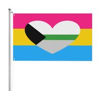 Bandiera Pirati Pansexual Demiromantic Pride Bandiera Personalizzata All'Aperto Bandiera Dell'Individualità Per Giardino, Cortile, La Fattoria All'Aperto, 90X150cm