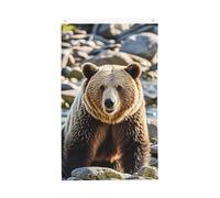 Bandiera Pirati Resistente Alle Intemperie, Encounter Animal Bear Personalizzata Bandiere Da Balcone Per Conferenza Interno Flag 90X150Cm