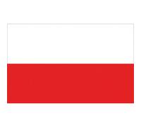 BANDIERA POLONIA CM.30X45