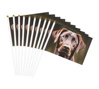 Bandiera portatile con stampa Labrador Retriever marrone, bandiere per celebrazioni, feste, vacanze, decorazioni per eventi