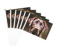 Bandiera portatile con stampa Labrador Retriever marrone, bandiere per celebrazioni, feste, vacanze, decorazioni per eventi