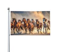 Bandiera Prato Al Galoppo Dei Cavalli Decor Garden Flag Resistente Ai Raggi Uv Bandiere Pirata Per Marce Home Esterno 3X5Ft