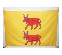 BANDIERA PROVINCIA DEL BEARN 150x90cm - BANDIERA PROVINCE DU BÉARN REGNO DI FRANCIA 90 x 150 cm foro per asta - AZ FLAG