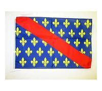 BANDIERA PROVINCIA DEL BORBONESE 45x30cm - BANDIERINA PROVINCE DU BOURBONNAIS REGNO DI FRANCIA 30 x 45 cm cordicelle - AZ FLAG