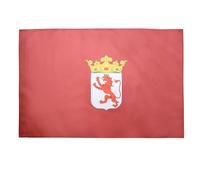 BANDIERA PROVINCIA SPAGNOLA DI LEÓN 150x90cm - BANDIERA LEÓN - CASTIGLIA E LEÓN 90 x 150 cm foro per asta - AZ FLAG