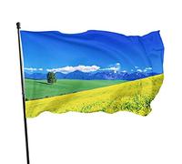 Bandiera Rapeseed Field With Blue Bandiera Della Brezza Resistente Alle Intemperie Prova Di Sbiadimento Striscione All'Aperto, Per Celebrazioni, Feste Estive, Eventi, 90x150cm