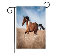 Bandiera Red Sunny Beautiful Piebald Horse Run On Strawberryroan Partcolours Field Animals Wildlife Prova Di Sbiadimento Bandiera Della Brezza, Per Balcone, Feste Strada, 30x45cm