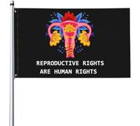 Bandiera Reproductive Rights Are Human Rights Pro Choice Stagione Bandiera 2 Occhielli Metallici Striscione All'Aperto, Per Feste Strada, Feste Estive, Eventi, 90x150cm