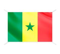 Bandiera Sénégal ufficiale - Bandiere del Mondo per interno ed esterno, bandiere decorative e da collezione, bandiera italiana inclusa - Dimensione 144x93 cm