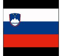 Bandiera Slovenia Cm.40X60