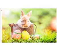 Bandiera Small Baby Rabbit In Easter Basket Eggs In The Fresh Green Spring Landscape Bandiera Della Brezza Prova Di Sbiadimento Decorazione Striscione All'Aperto, Per Balcone, Giardino, 90x150cm