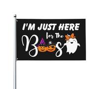 Bandiera Sono Qui Solo Per I Fischi Decor Garden Flag Coutures Doubles Bandiere Pirata Per Giardino Conferenza Home 3X5Ft