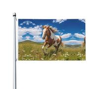 Bandiera stampata a doppia faccia con cavalli sulla prateria (91,4 x 152,4 cm), grande bandiera da giardino, bandiera decorativa per esterni festivi