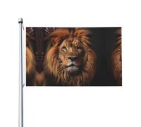 Bandiera stampata su entrambi i lati dello sguardo del leone (91,4 x 152,4 cm), grande bandiera da giardino, bandiera decorativa per esterni festivi