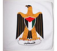 AZ FLAG Bandiera Stemma Palestina 90x90cm - Bandiera PALESTINESA con Blasone 90 x 90 cm Foro per Asta