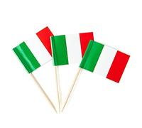 Bandiera Stuzzicadenti Italia 100 Pezzi Stuzzicadenti Decorativi,Stuzzicadenti per frutta Giornata Nazionale Bar Matrimonio Natale San Valentino Cibo Bevande Decorazione per Il Cibo