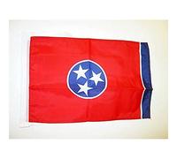 BANDIERA TENNESSEE 45x30cm - BANDIERINA STATO AMERICANO - USA - STATI UNITI 30 x 45 cm cordicelle - AZ FLAG