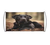 Bandiera tenuta in mano, con simpatico cane labrador, bandiera portatile con manici in plastica per fan uso domestico