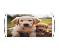 Bandiera tenuta in mano, con simpatico cucciolo di Golden Retriever, bandiera portatile con manici in plastica per fan uso domestico