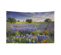 Bandiera Texas Bluebonnets con paesaggio, 119,4 x 177,8 cm, non sbiadisce, bandiera di benvenuto da giardino, cortile, casa, cartello decorativo per interni ed esterni, decorazione per la casa