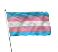Bandiera transgender, 0,9 x 1,5 m, colori brillanti in nylon resistente, bandiera arcobaleno rosa blu con 2 occhielli resistenti, decorazione per interni ed esterni