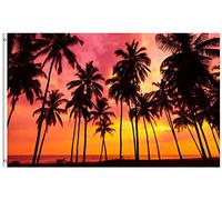 Bandiera Tropical Beach Palm Trees Beautiful Vivid Sunset Seaside Summer Stagione Bandiera Colori Vivaci Decorazione Striscione All'Aperto, Per Feste Estive, Eventi, Giardino, 90x150cm