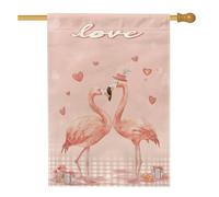 Bandiera tropicale per casetta degli uccelli, romantici cuori giocosi, regalo per San Valentino, pesca su entrambi i lati, grande bandiera da giardino per esterni, patio, cortile, prato, ingresso