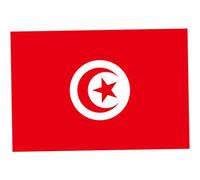 Bandiera tunisia giardino decorativo bandiera tunisina Banners nazionali in poliestere per eventi sportivi 150x90 cm