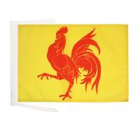 BANDIERA VALLONIA 45x30cm - BANDIERINA REGIONE VALLONE IN BELGIO 30 x 45 cm cordicelle - AZ FLAG