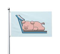 Bandiera Verticale Garden The Pig Sleeping On The Treadmill Resistente Alle Intemperie Outdoorbandiera Con 2 Occhielli Decorazioni Da Giardino Per Piantone Fattoria Strada 3X5 Ft