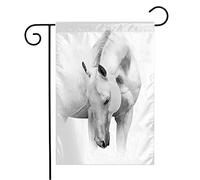 Bandiera White Stallion Akhalteke Horse Wisdom Key Beautiful Neck High Animals Space Wildlife Empty Rinforzata Bandiera In Poliestere, Per Celebrazioni, Feste Strada, 30x45cm