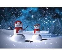 Bandieras Da Cortile Christmas Winter Landscape Snowman In The Snow Land Bandiera Di Benvenuto Durevole Garden Flag Per Veranda Prato Esterni 90X150 CM