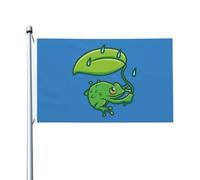 Bandieras Da Cortile Cute Frog Holding A As An Umbrella Bandiera Garden Anniversario Garden Flag Decorativo Bandiera Di Benvenuto Per Patio Spiaggia Prato 90X150 CM