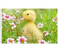 Bandieras Da Cortile Cute Little Young Duck Flowering Shrubs Grass Field Spring Nature Animal Bandiera Di Benvenuto Garden Flag Alta Qualità Per Spiaggia Esterni 90X150 Cm