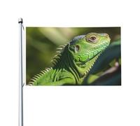 Bandieras Da Cortile Green Lizard Bandiera Garden Tutte Le Stagioni Striscione Decorativo Divertente Bandieras Per Esterni Prato Veranda 90X150Cm
