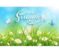 Bandieras Da Cortile Hello Summer Butterflies Flying Above The Grass Divertente Bandieras Decorativo Striscione Per Patio Spiaggia Veranda 90X150 CM