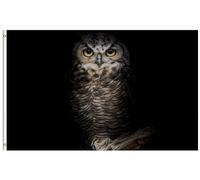 Bandieras Da Cortile Owl Bird Standing In The Dark Night Fairy Seasonal Halloween Divertente Bandieras Bandiera Garden Anniversario Per Spiaggia Prato 90X150 Cm