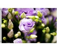 Bandieras Da Cortile Purple Flower Flowers Blooming In Spring Saint Valentine'S Day Garden Flag Alta Qualità Striscione Per Veranda Esterni Spiaggia 90X150 CM