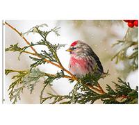 Bandieras Da Cortile Redpoll Birds In Winter Tree With Snow Seasonal Landscape Nature Garden Flag Tutte Le Stagioni Divertente Bandieras Per Spiaggia Patio Veranda 90X150 CM