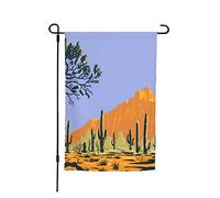 Bandieras Da Cortile Saguaro Cactus In The Ironwood Forests National Monument Section Striscione Alta Qualità Divertente Bandieras Anniversario Bandiera Di Benvenuto Per Spiaggia Veranda Prato S