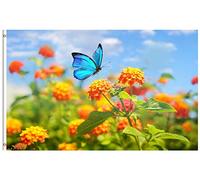 Bandieras Da Cortile Spring Summer Morpho Butterfly On Oranges Lantana Flower Blue On Bright Sunny Day Garden Flag Striscione Decorativo Per Prato Spiaggia 90X150 Cm