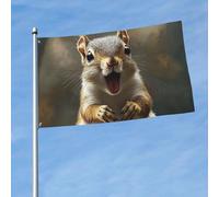 Bandieras Da Cortile Squirrel Funny Animal Bandiera Di Benvenuto Divertente Bandieras Durevole Per Prato Veranda 90X150 Cm