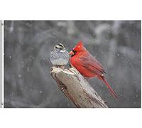 Bandieras Da Cortile Two Bird Cardinal Sparrow In Winter Snow Storm Wildlife Nature Seasonal Divertente Bandieras Anniversario Garden Flag Per Prato Patio Spiaggia 90X150 CM