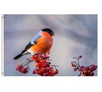Bandieras Da Cortile Winter Birds On The Berry Tree Garden Flag Alta Qualità Bandiera Garden Per Veranda Esterni Prato 90X150 CM