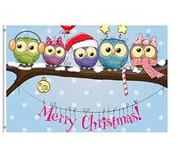 Bandieras Da Cortile Winter Scene Merry Christmas Five Owls On A Branch Garden Flag Decorativo Striscione Per Patio Prato Spiaggia 90X150 CM