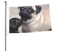 Bandiere 2 x 3 Ft Outdoor Double Sided Bandiera Benvenuto Yard Bandiere con occhielli in ottone Carlino carino Pet Pug Flag Decorazioni Yard Flag per Matrimonio Stagionale Vacanze Esterne Decorazione