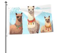 Bandiere 2 x 3 Ft Outdoor Double Sided Bandiera Benvenuto Yard Bandiere con occhielli in ottone Llama e Alpaca Bandiera Decorazioni Yard Flag per Matrimonio Stagionale Vacanze Esterne Decorazione