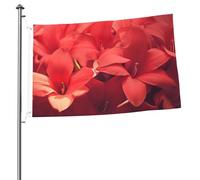 Bandiere 2 x 3 Ft Outdoor Double Sided Bandiera Benvenuto Yard Bandiere con occhielli in ottone Petali di fiori rossi Bandiera Decorazioni Yard Bandiera per Matrimonio Stagionale Vacanze Esterne